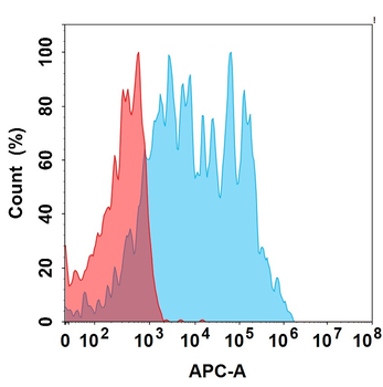 IL5RA Biosimilar Antibody