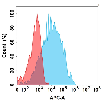 FGFR3 Biosimilar Antibody