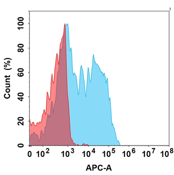 CD39 Biosimilar Antibody