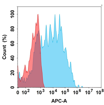 TEM1 Biosimilar Antibody