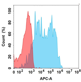 CD6 Biosimilar Antibody