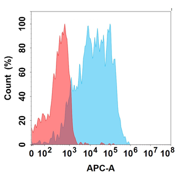 STEAP1 Biosimilar Antibody