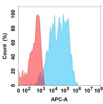 CD19 Biosimilar Antibody