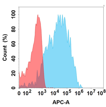 CDH17 Biosimilar Antibody