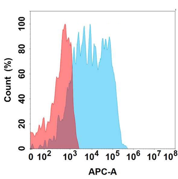GPNMB Antibody