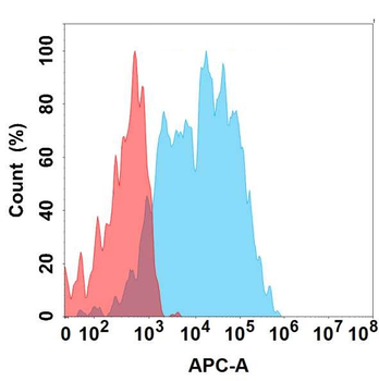 NCR1 Antibody