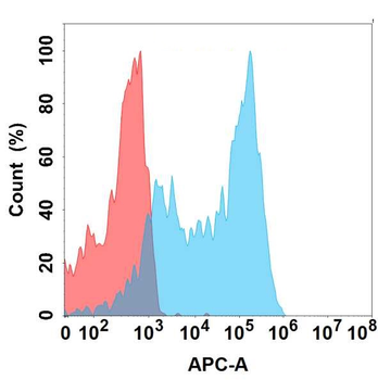 FZD4 Antibody
