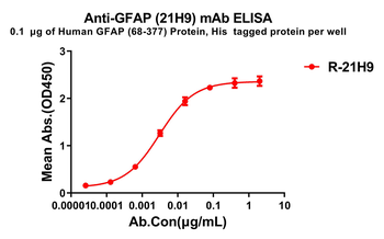 GFAP Antibody