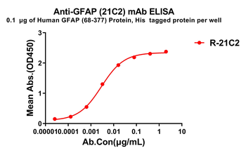 GFAP Antibody