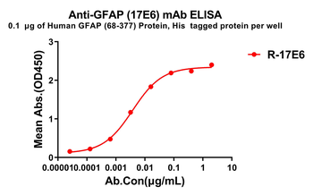 GFAP Antibody