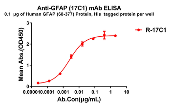 GFAP Antibody