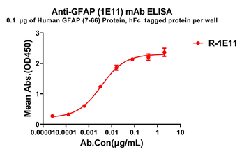 GFAP Antibody