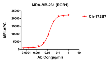 ROR1 Antibody