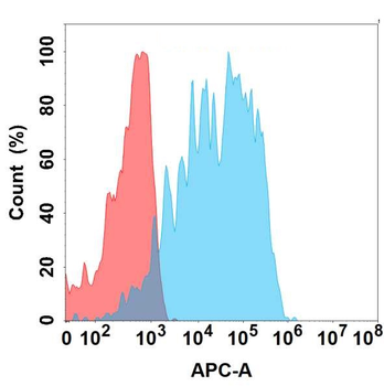 B7H7 Antibody