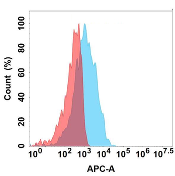 CD3E Antibody