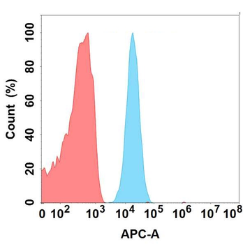 CD93 Antibody