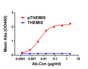 THEMIS Antibody