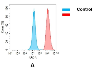 B7-H3 Biosimilar Antibody
