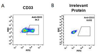 CD33 Biosimilar Antibody