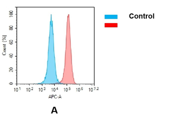 CD33 Biosimilar Antibody