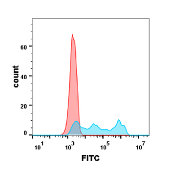 CD30 Biosimilar Antibody