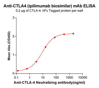CTLA-4 Biosimilar Antibody