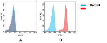 Trop2 Biosimilar Antibody