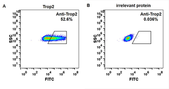 Trop2 Biosimilar Antibody