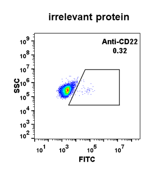CD22 Antibody