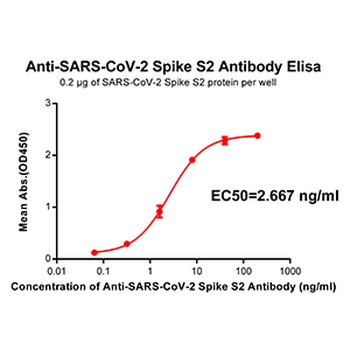 S protein Antibody