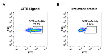 Human CD96 Protein, mFc-His tag