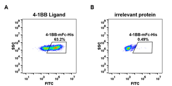 Human TIM3 Protein, mFc-His Tag