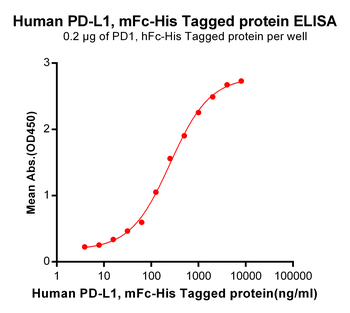 Human B7-2 Protein, mFc-His Tag