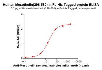 Human BAFF Protein, hFc Tag