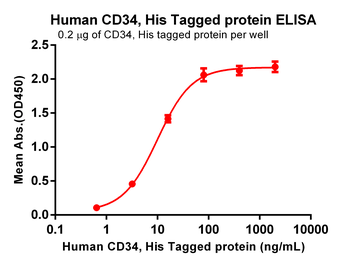 Human ICAM-1 Protein, mFc Tag