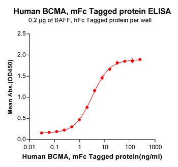 Human ACE2 Protein, mFc Tag