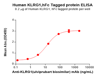 Human CD70 Protein, hFc-His Tag
