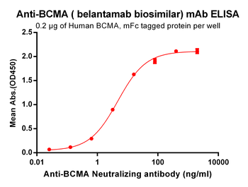 BCMA Biosimilar Antibody