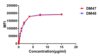ACE2 Antibody