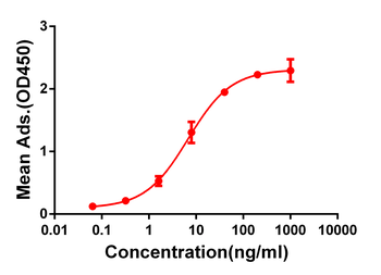 CD28 Antibody