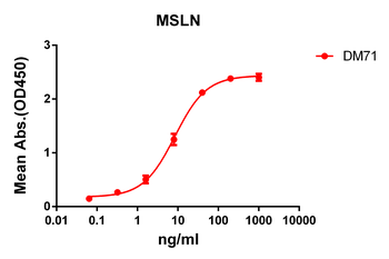 Mesothelin Antibody
