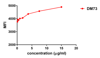 Mesothelin Antibody