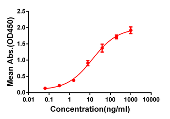 CD33 Antibody