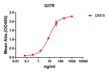 GITR Antibody