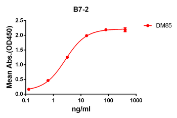 B7-2 Antibody