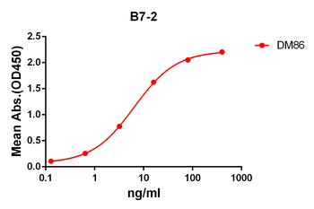 B7-2 Antibody