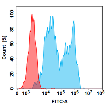 CD20 Biosimilar Antibody