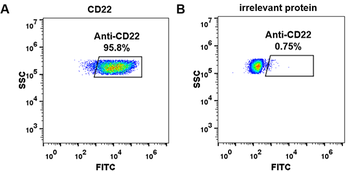 CD22 Biosimilar Antibody