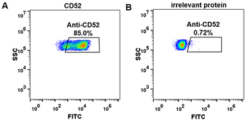 CD52 Biosimilar Antibody