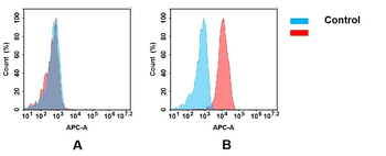 TNFRSF10B Biosimilar Antibody